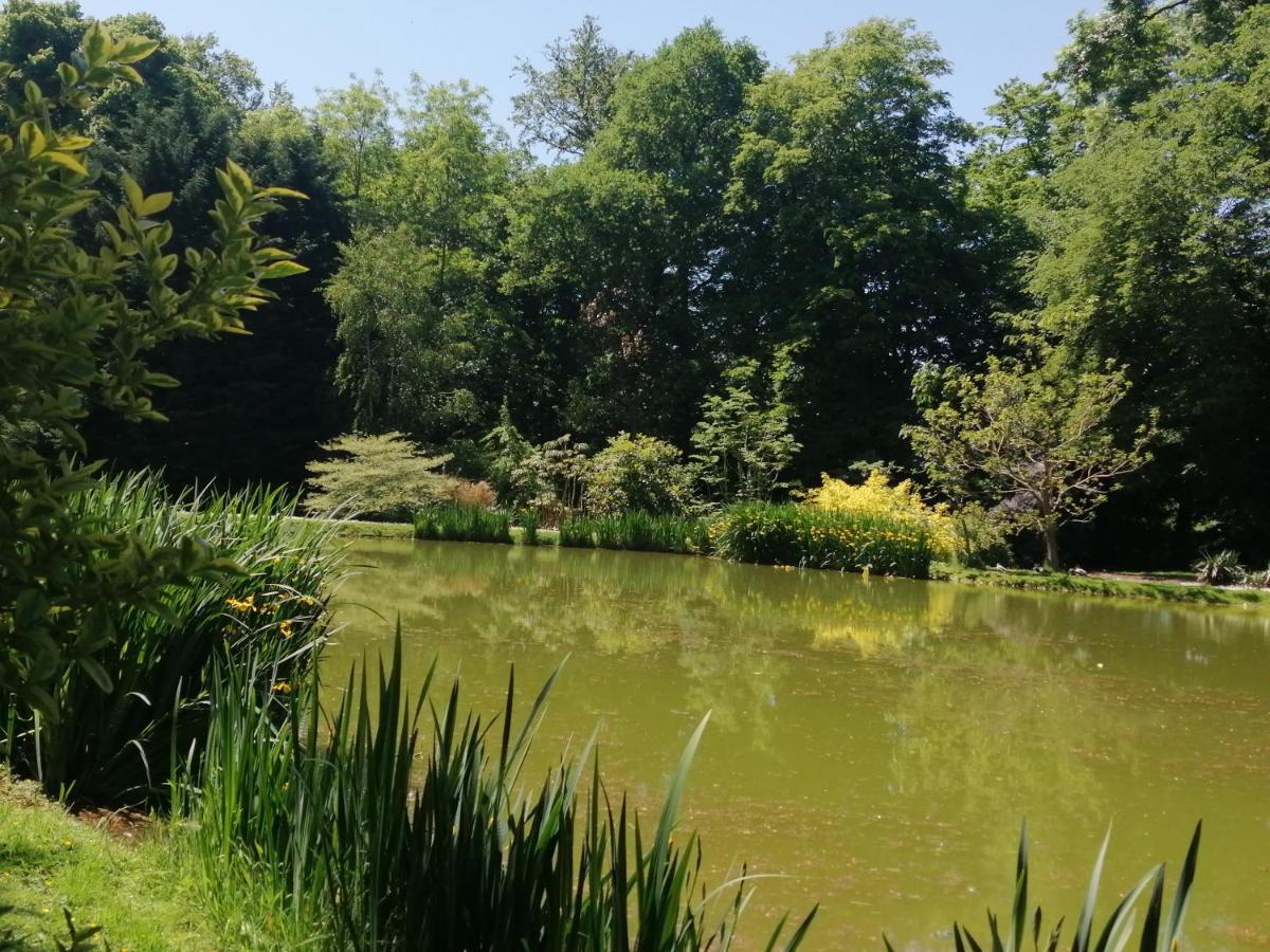 Chambre E Andre Le Domaine Des Jardins De Bracquetuit Exterior foto